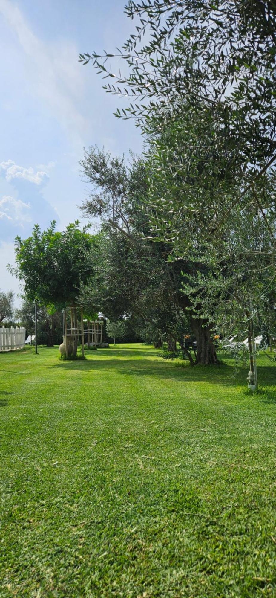 אוטרנטו Agriturismo La Rondine מראה חיצוני תמונה