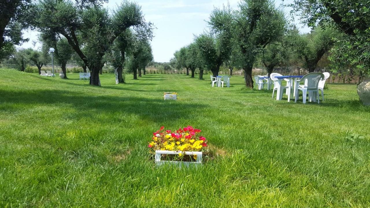 אוטרנטו Agriturismo La Rondine מראה חיצוני תמונה